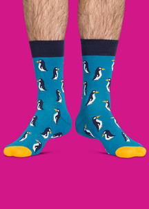 Цветные носки JNRB: Носки Южный полюс