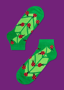 С букашками JNRB: Носки Полети на небо