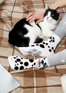 Цветные носки JNRB: Носки Пятнистый жизнелюб