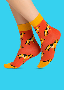 Цветные носки JNRB: Носки Куси-куси, чужой-чужой