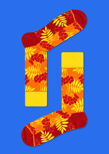 Цветные носки JNRB: Носки Костры рябин