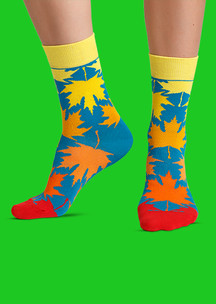 Цветные носки JNRB: Носки Легенды осени