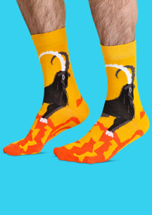 Цветные носки JNRB: Носки Козейрог