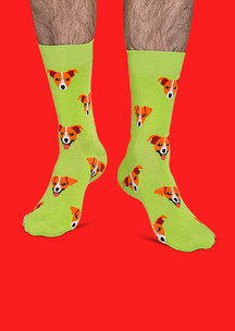 Цветные носки JNRB: Носки Джек-рассел на лужайке