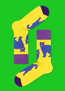 Цветные носки JNRB: Носки Британские котики