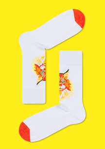 Цветные носки JNRB: Носки Кот Мейн-кун