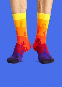 Цветные носки JNRB: Носки Аризона