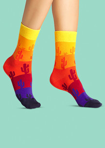 Цветные носки JNRB: Носки Аризона