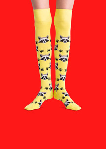 Цветные носки JNRB: Чулки Еноты