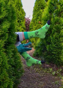 Цветные носки JNRB: Носки Рептилойды
