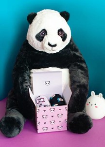 Funny Socks: Коробка для 2-х пар Панда