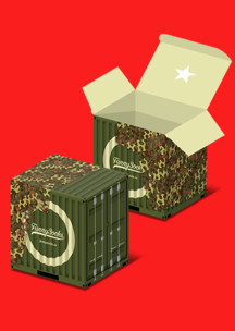 Подарочная упаковка Funny Socks: Коробка Мастер маскировки для 4-х пар носков