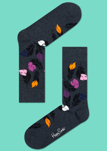 Цветные носки Happy Socks: Носки Пернатый друг
