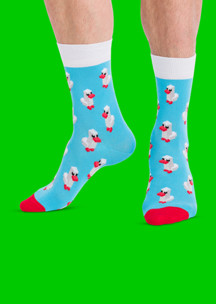 Цветные носки JNRB: Носки Лебедь - птица гордая