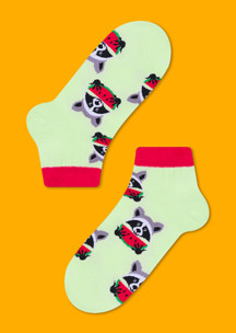 Цветные носки для всей семьи Енот JNRB: Носки Еноты в арбузах