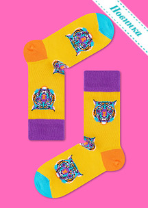 Цветные носки JNRB: Набор Пряники
