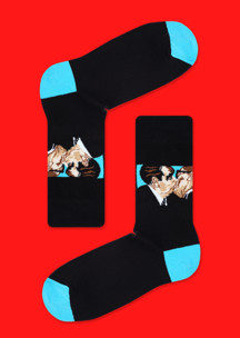 Преподавателю JNRB: Носки Братский поцелуй