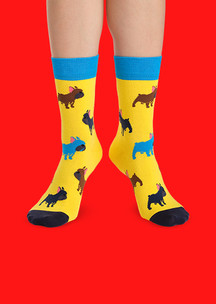 Цветные носки JNRB: Носки Французский бульдог