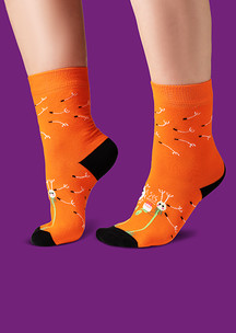 Цветные носки JNRB: Носки Жизнь одуванчика