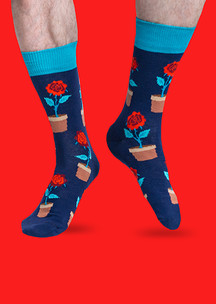 Цветные носки JNRB: Носки Розы