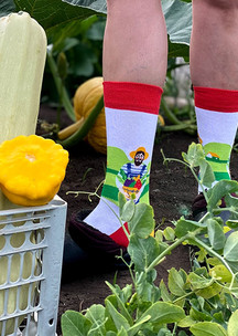 Цветные носки JNRB: Носки Урожай