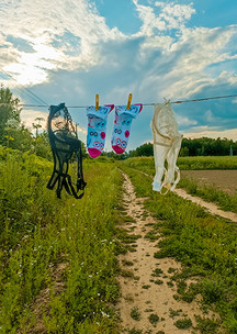 Цветные носки JNRB: Носки Незабудки