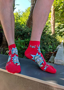 Цветные носки JNRB: Носки Красный Эйнштейн