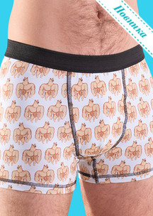 Цветные носки JNRB: Трусы боксеры Спортопёс