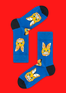 С букашками JNRB: Носки Кот и бабочка