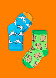 Детские носки JNRB: Носки детские (2 пары) Капибара и крылатый друг