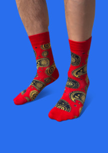 Цветные носки JNRB: Носки Красный огурец