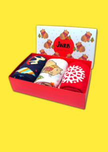Новогодние носки JNRB: Набор Новогодняя капибара