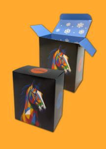 Цирк и театр JNRB: Коробка для 2х пар Графический конь 2026